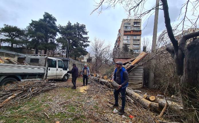 ძლიერი ქარის გამო, თბილისის მუნიციპალიტეტი საგანგებო რეჟიმში მუშაობს