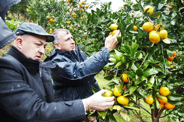 ზურაბ პატარაძე სეტყვით გამოწვეულ შედეგებს ადგილზე გაეცნო