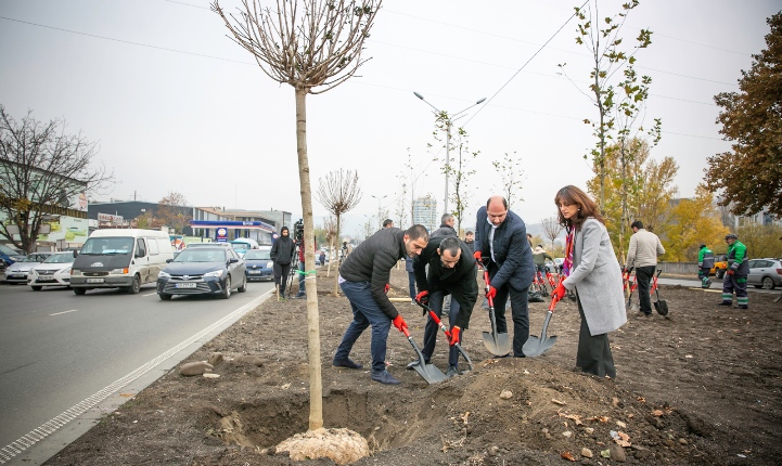 დედაქალაქის მერიის გარემოს დაცვის საქალაქო სამსახური დიდუბის ხიდთან, მტკვრის მარცხენა სანაპიროზე არსებულ შუა გამყოფ ზოლს ამწვანებს