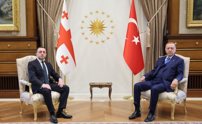 ირაკლი ღარიბაშვილი თურქეთის რესპუბლიკის პრეზიდენტს შეხვდა