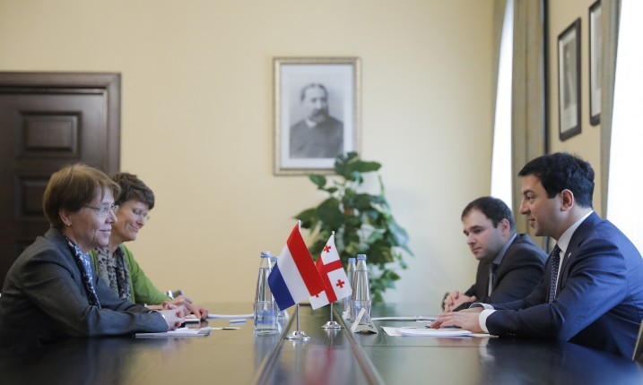 არჩილ თალაკვაძე ნიდერლანდების სამეფოს ელჩს შეხვდა